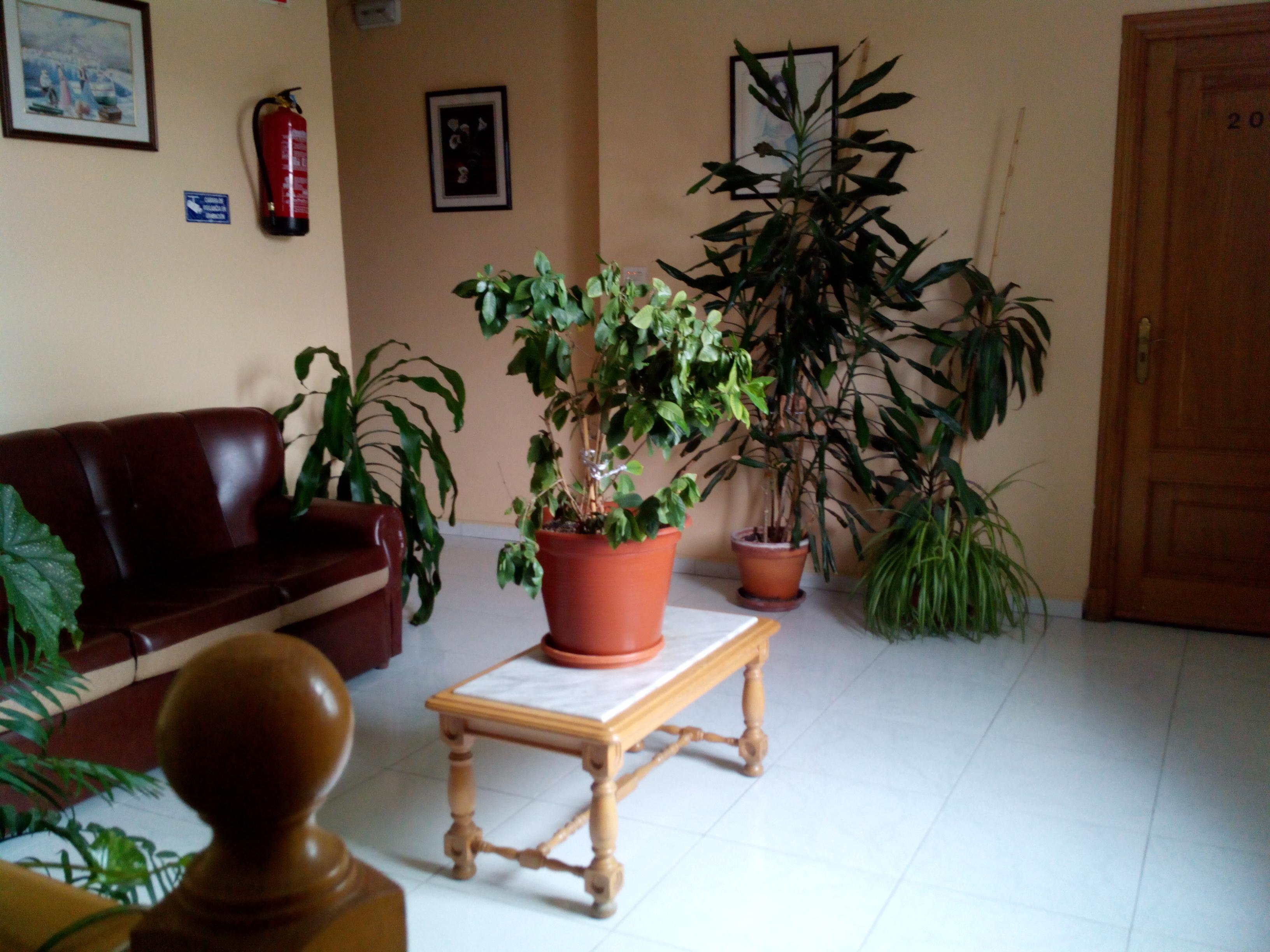 Hostal Sequeiros San Ciprián de Viñas Exterior foto
