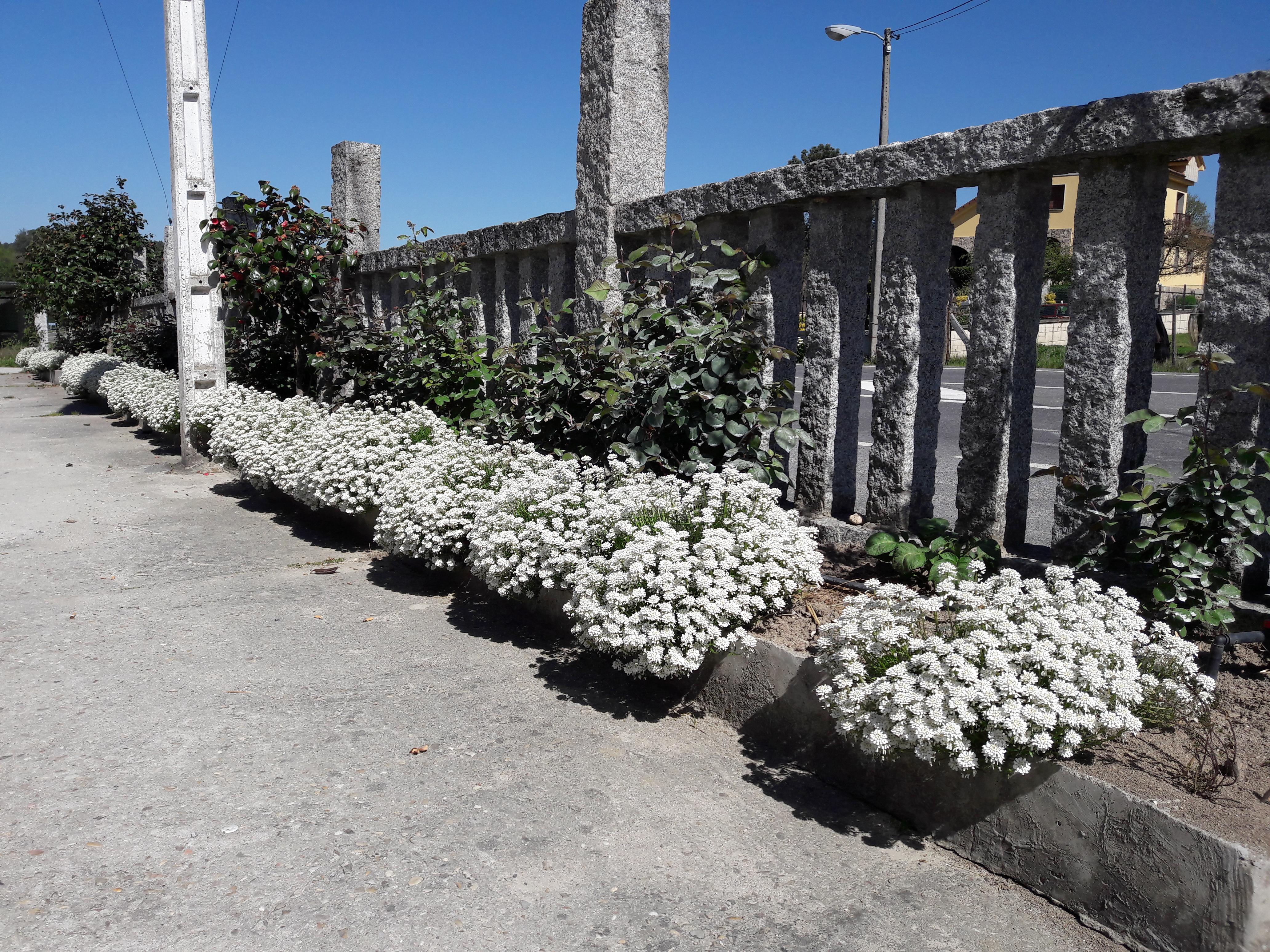 Hostal Sequeiros San Ciprián de Viñas Exterior foto